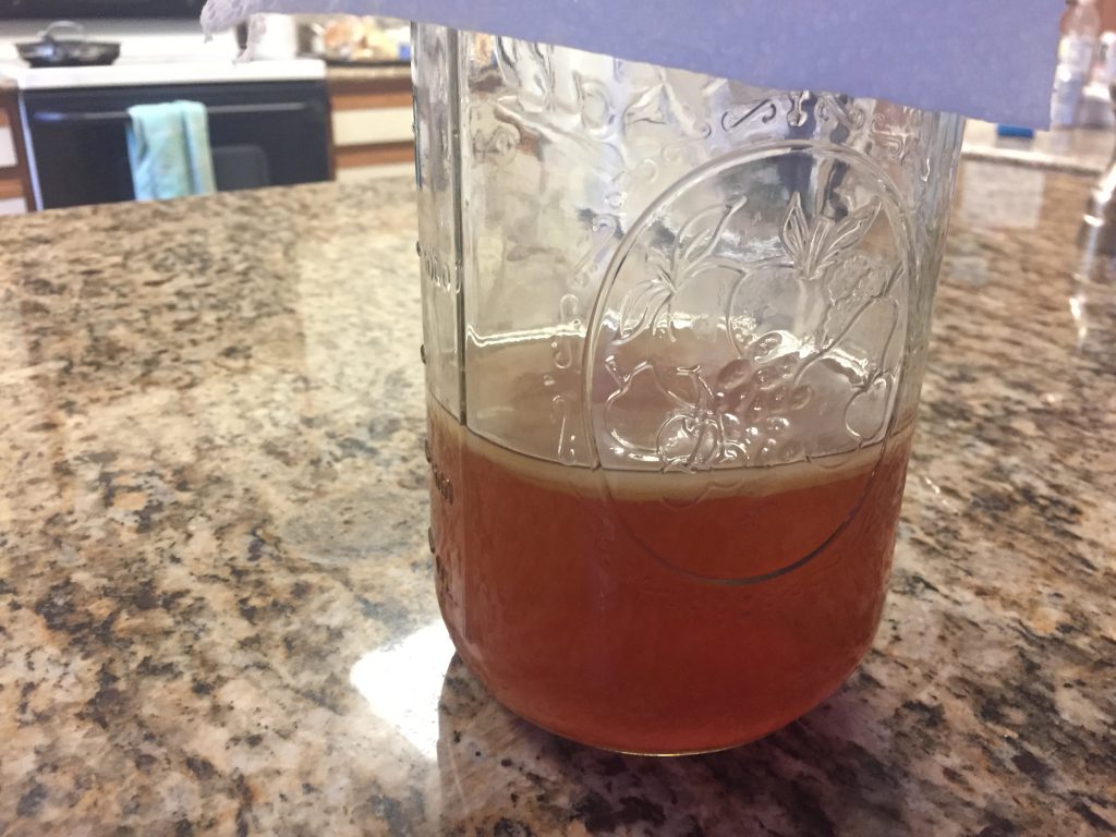 How to make a kombucha scoby